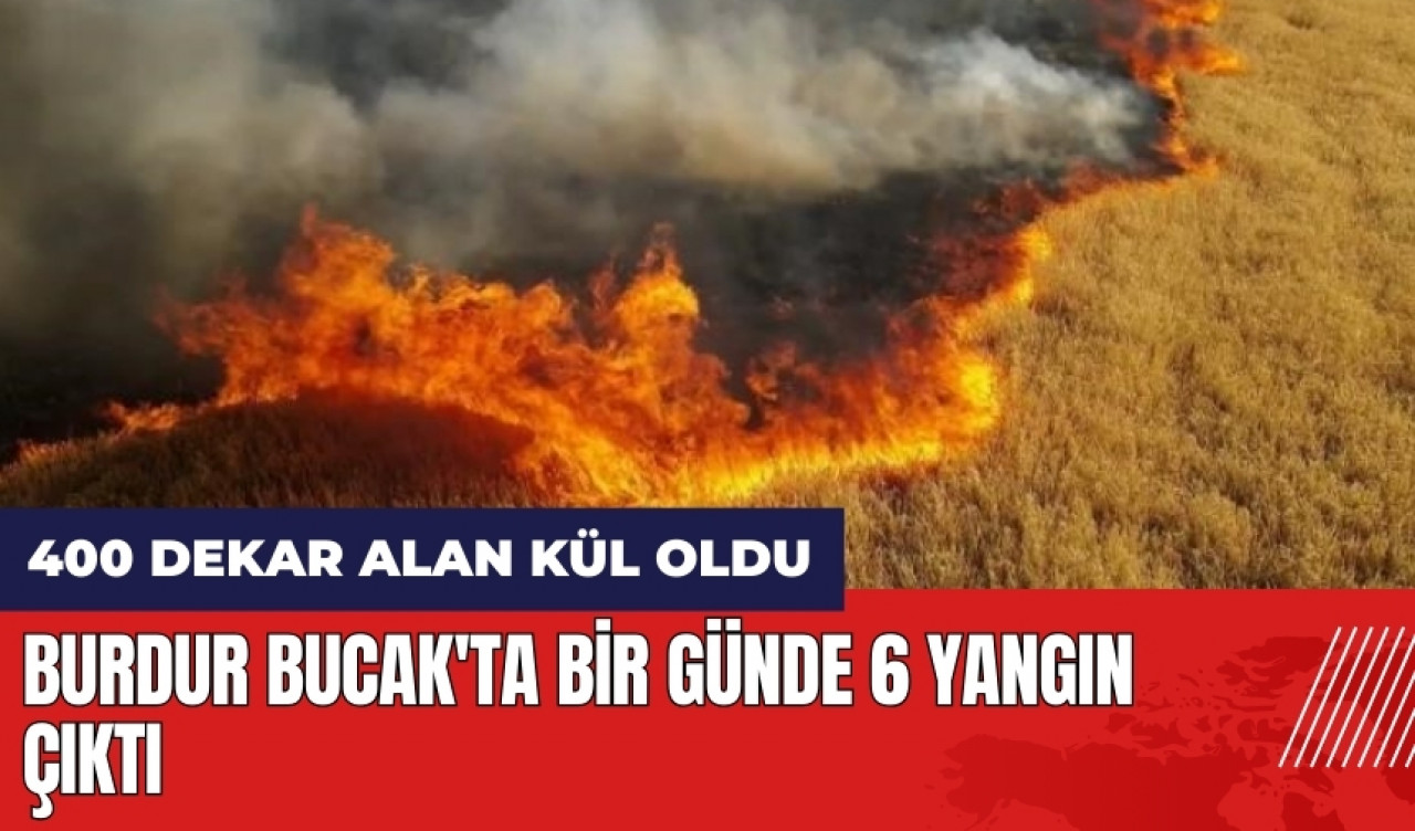 Burdur Bucak'ta bir günde 6 yangın çıktı