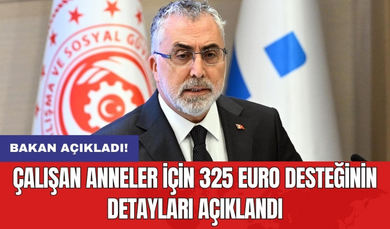 Çalışan anneler için 325 Euro desteğinin detayları açıklandı