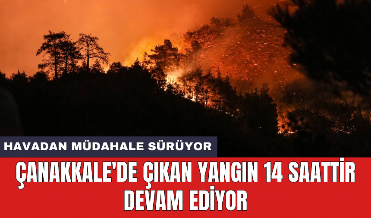 Çanakkale'de çıkan yangın 14 saattir devam ediyor