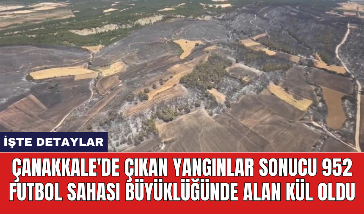 Çanakkale'de çıkan yangınlar sonucu 952 futbol sahası büyüklüğünde alan kül oldu