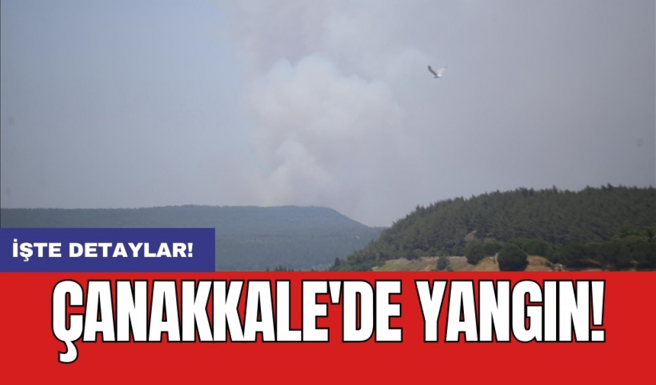 Çanakkale'de yangın!