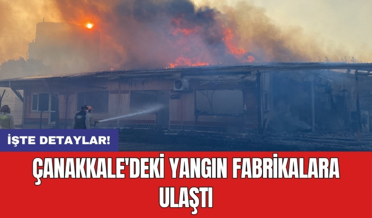 Çanakkale'deki yangın fabrikalara ulaştı