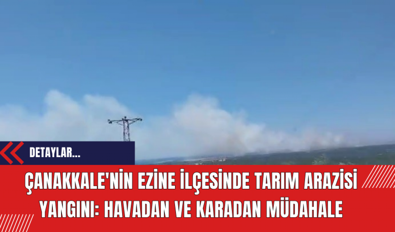 Çanakkale'nin Ezine İlçesinde Tarım Arazisi Yangını: Havadan ve Karadan Müdahale