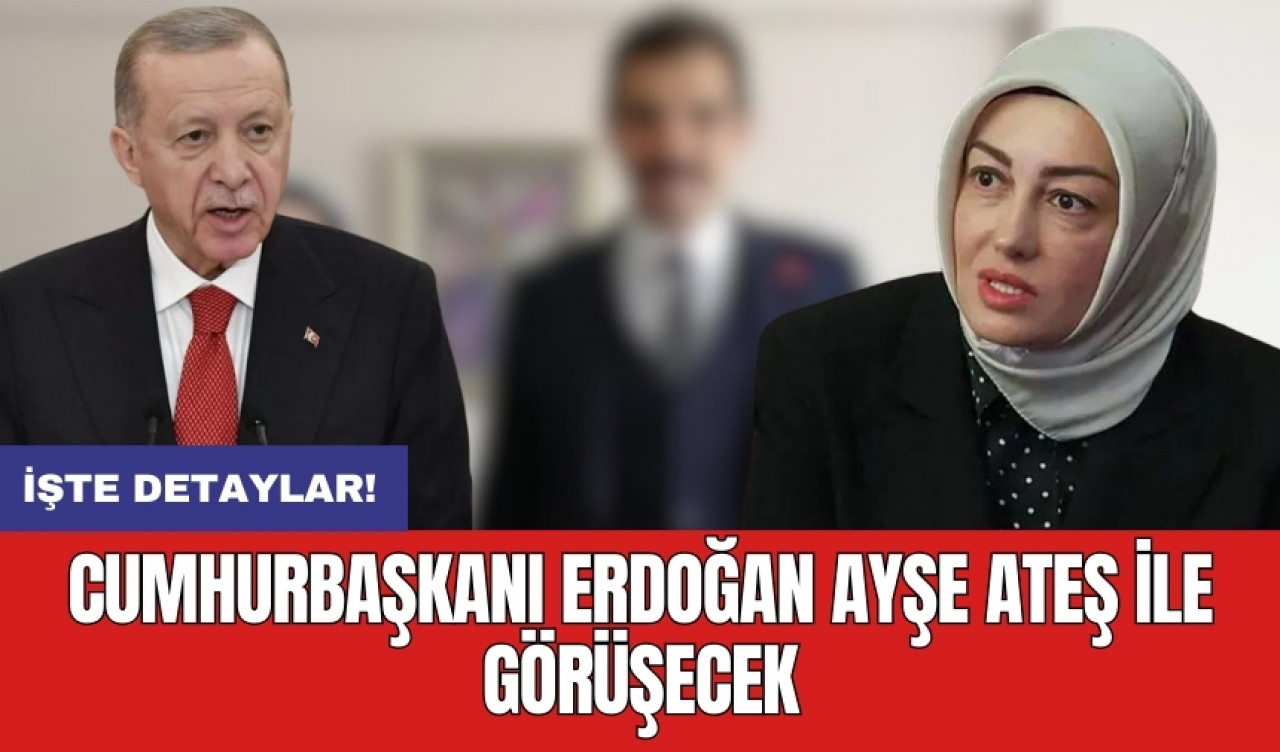 Cumhurbaşkanı Erdoğan Sinan Ateş'in eşi Ayşe Ateş ile görüşecek