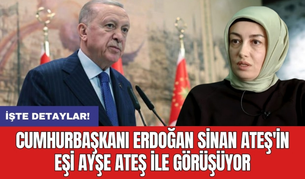 Cumhurbaşkanı Erdoğan Sinan Ateş'in eşi Ayşe Ateş ile görüşüyor