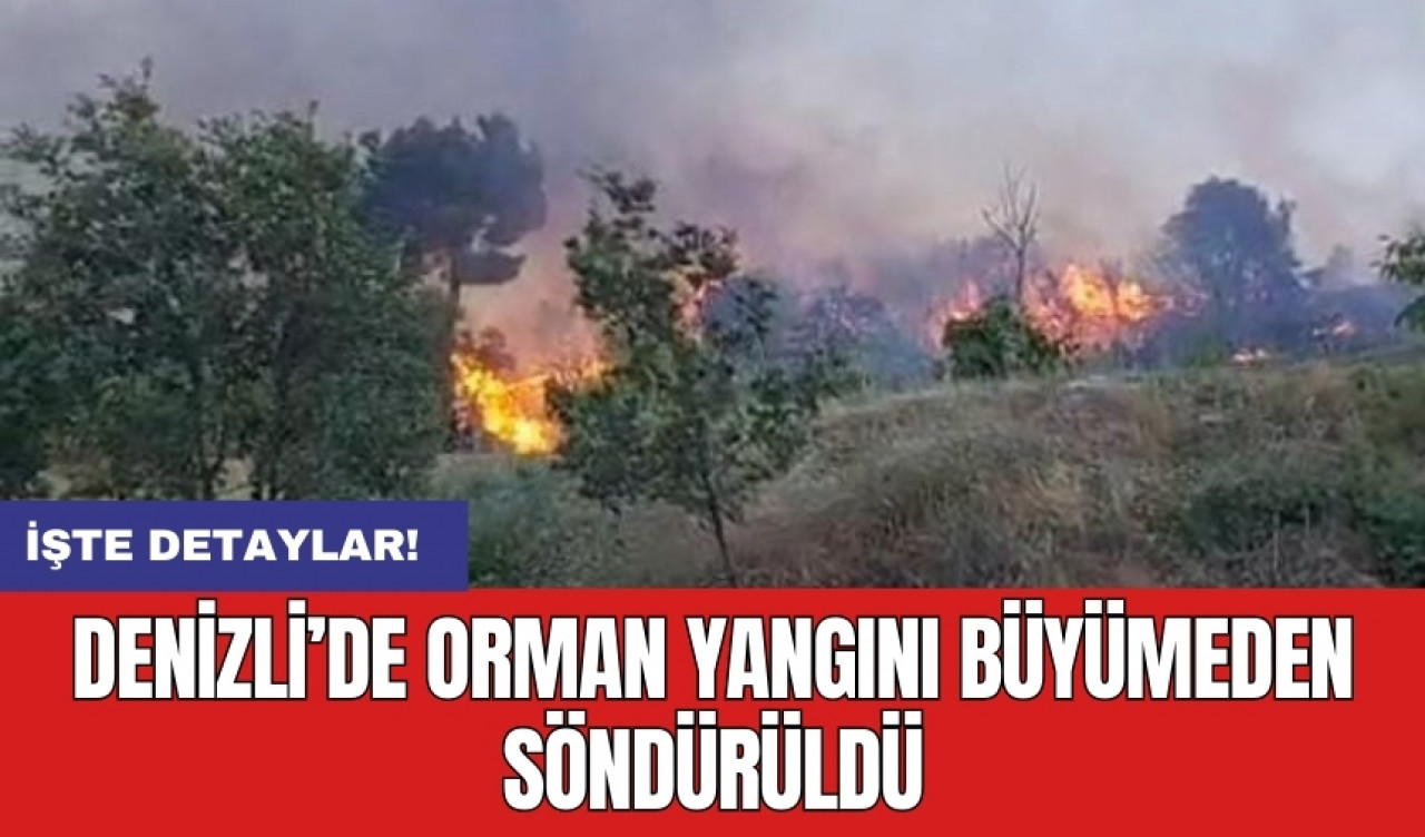 Denizli’de orman yangını büyümeden söndürüldü