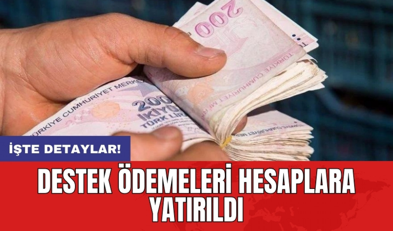 Destek ödemeleri hesaplara yatırıldı