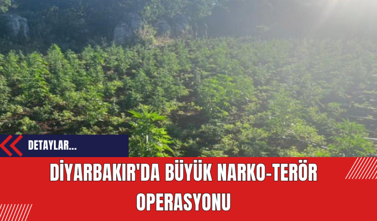 Diyarbakır'da Büyük Narko-Ter*r Operasyonu: 2 Milyon 67 Bin 550 Kenevir Ele Geçirildi