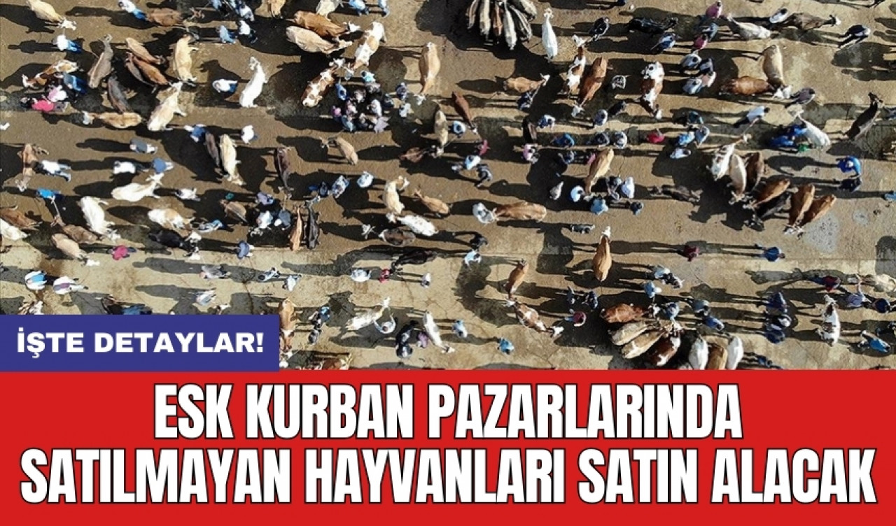 ESK Kurban Pazarlarında Satılmayan Hayvanları Satın Alacak