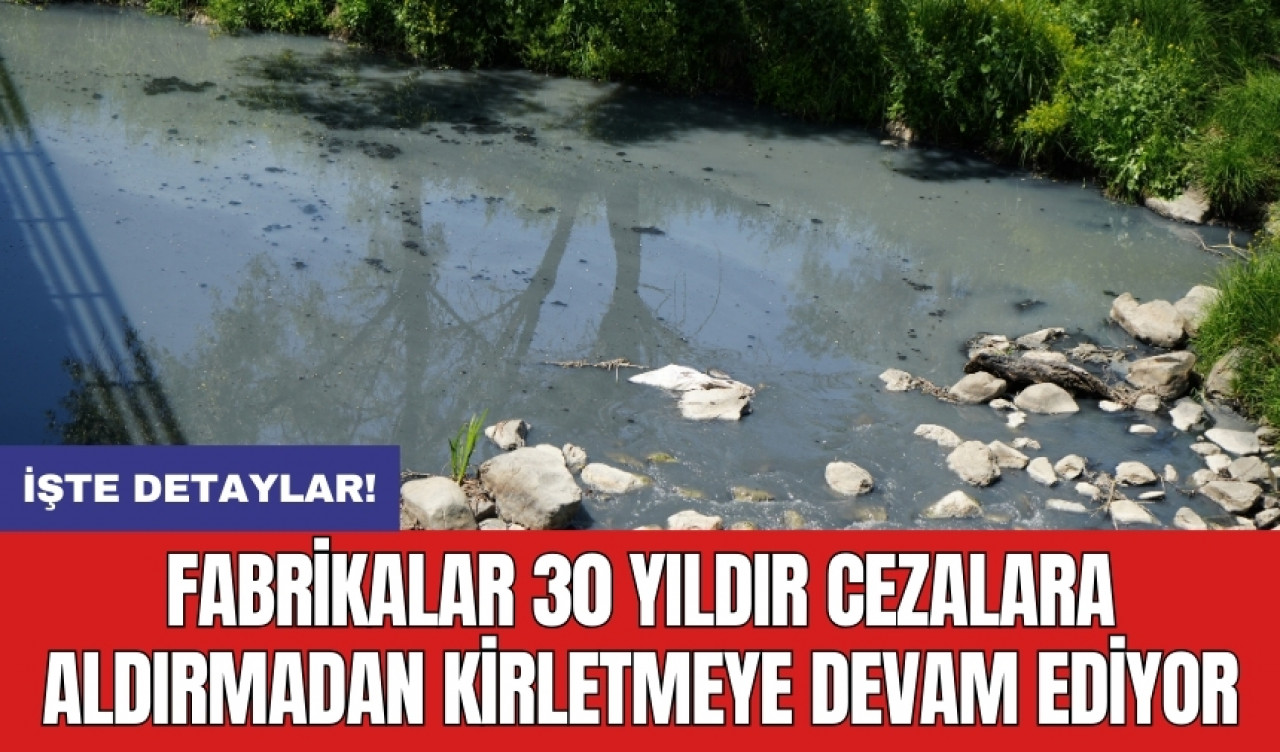 Fabrikalar 30 yıldır cezalara aldırmadan kirletmeye devam ediyor