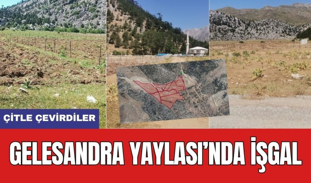 Gelesandra Yaylası'nda Çitli İşgal! Bölgede Tepkiler Büyüyor