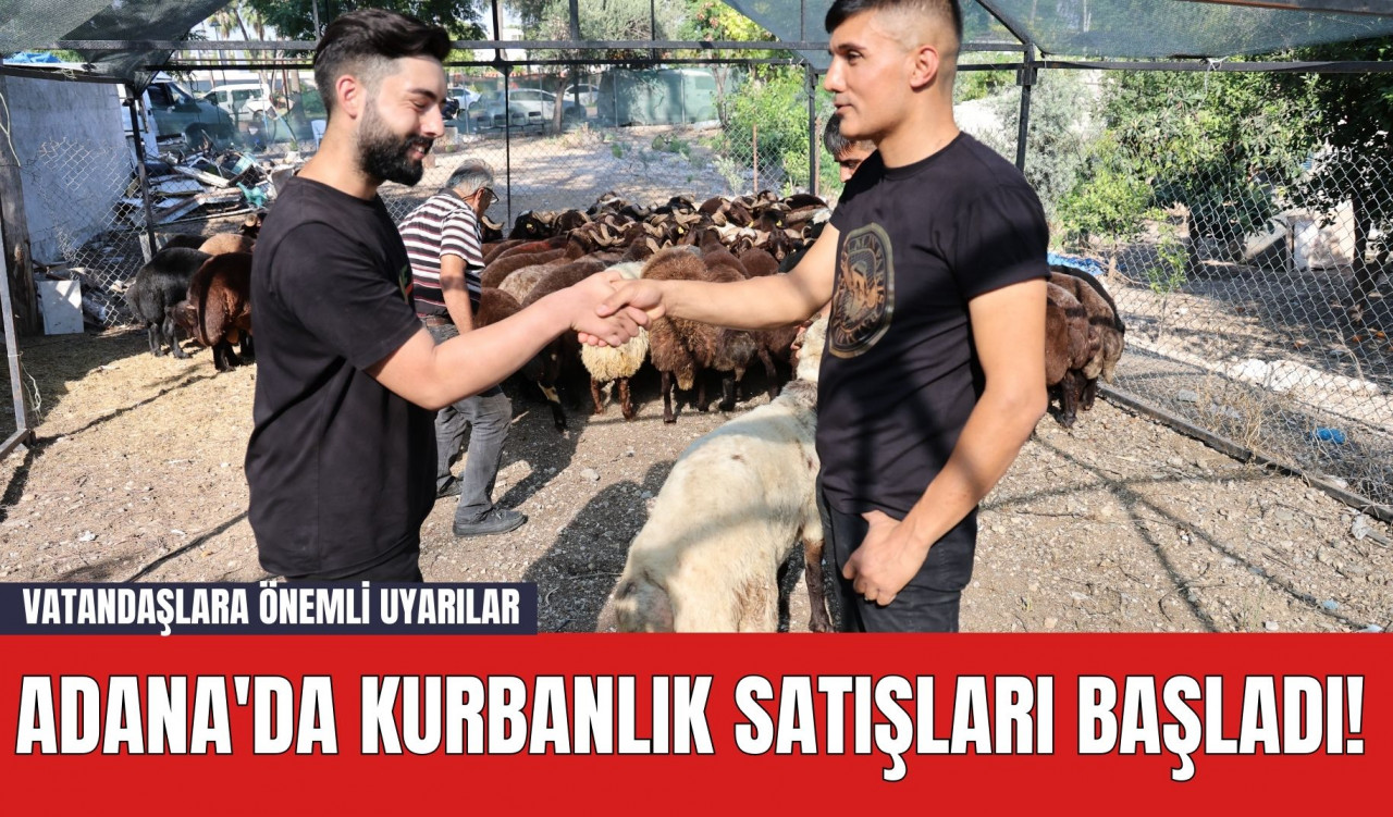 Adana'da Kurbanlık Satışları Başladı! Vatandaşlara Önemli Uyarılar