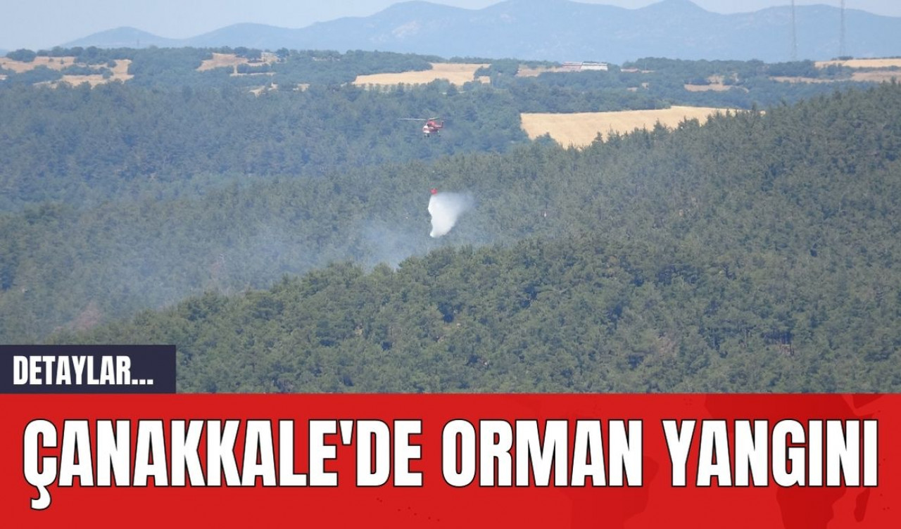 Çanakkale'de Orman Yangını