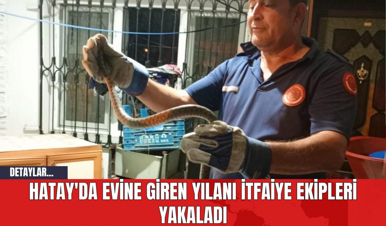 Hatay'da Evine Giren Yılanı İtfaiye Ekipleri Yakaladı