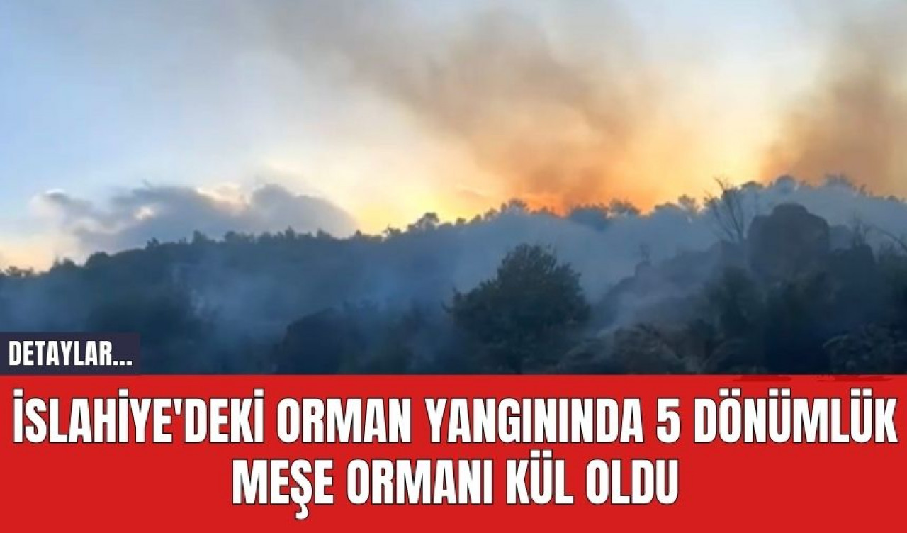 İslahiye'deki Orman Yangınında 5 Dönümlük Meşe Ormanı Kül Oldu