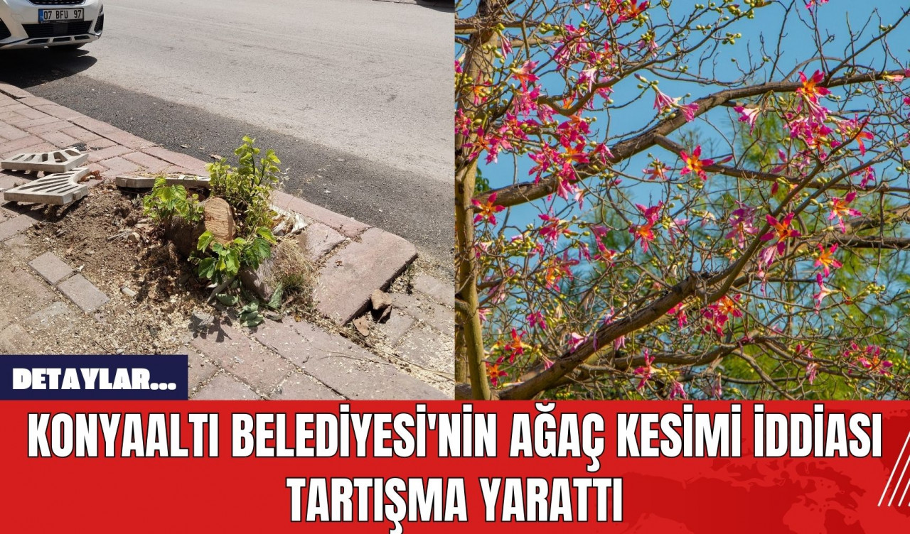 Konyaaltı Belediyesi'nin Ağaç Kesimi İddiası Tartışma Yarattı