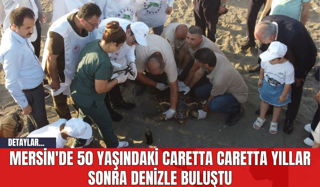 Mersin'de 50 yaşındaki Caretta Caretta Yıllar Sonra Denizle Buluştu