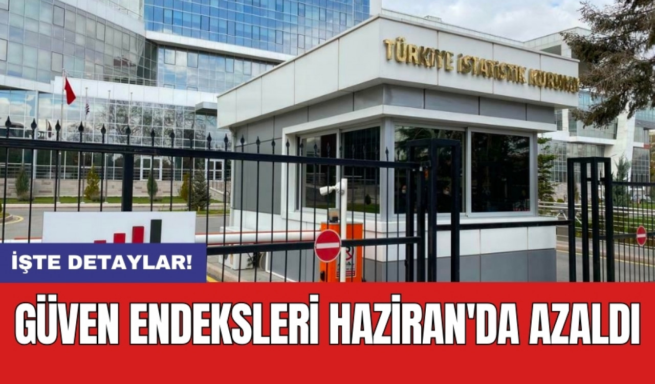 Güven endeksleri Haziran'da azaldı