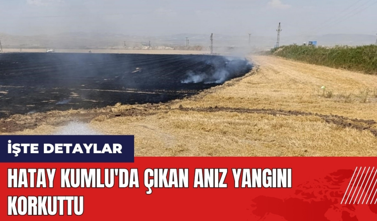 Hatay Kumlu'da çıkan anız yangını korkuttu