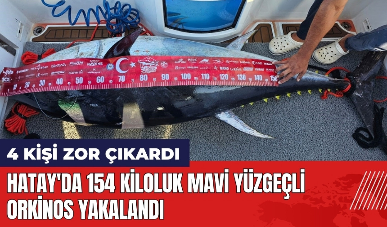 Hatay'da 154 kiloluk mavi yüzgeçli orkinos yakalandı