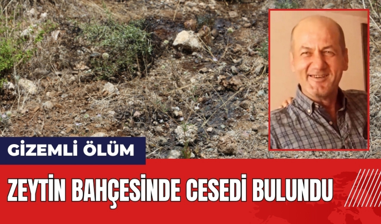 Hatay'da gizemli ölüm! Zeytinlikte ces*di bulundu