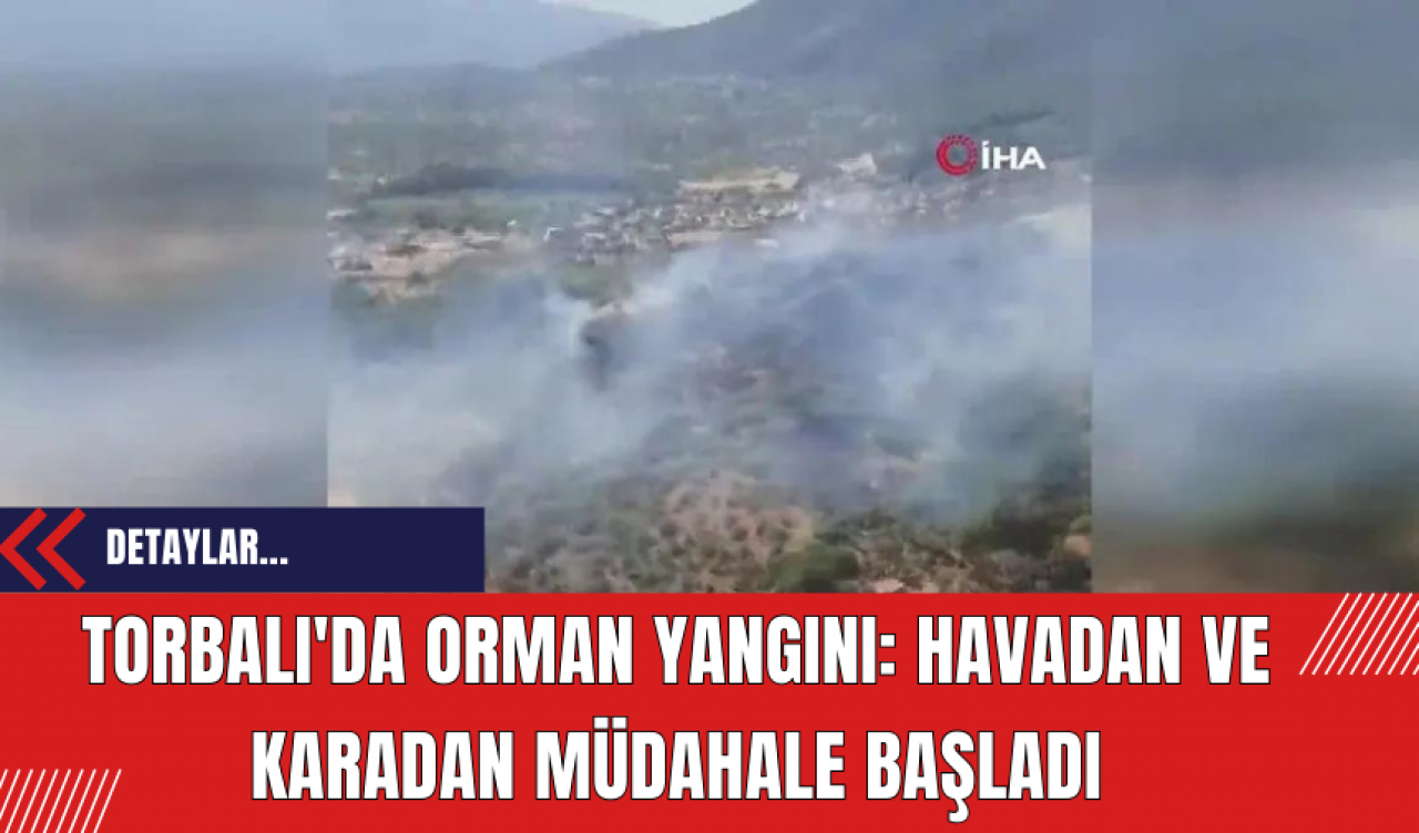 Torbalı'da Orman Yangını: Havadan ve Karadan Müdahale Başladı