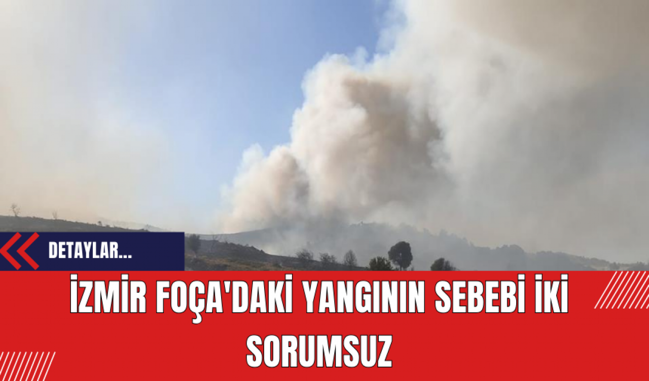 İzmir Foça'daki yangının sebebi iki sorumsuz