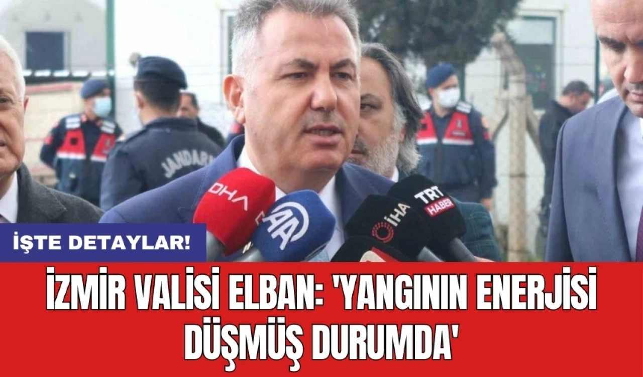 İzmir Valisi Elban: 'Yangının enerjisi düşmüş durumda'