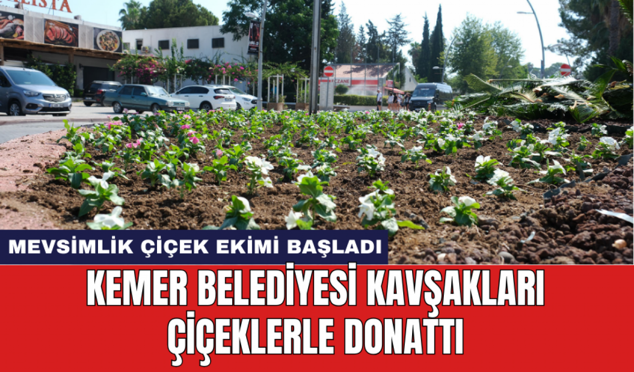 Kemer Belediyesi kavşakları çiçeklerle donattı