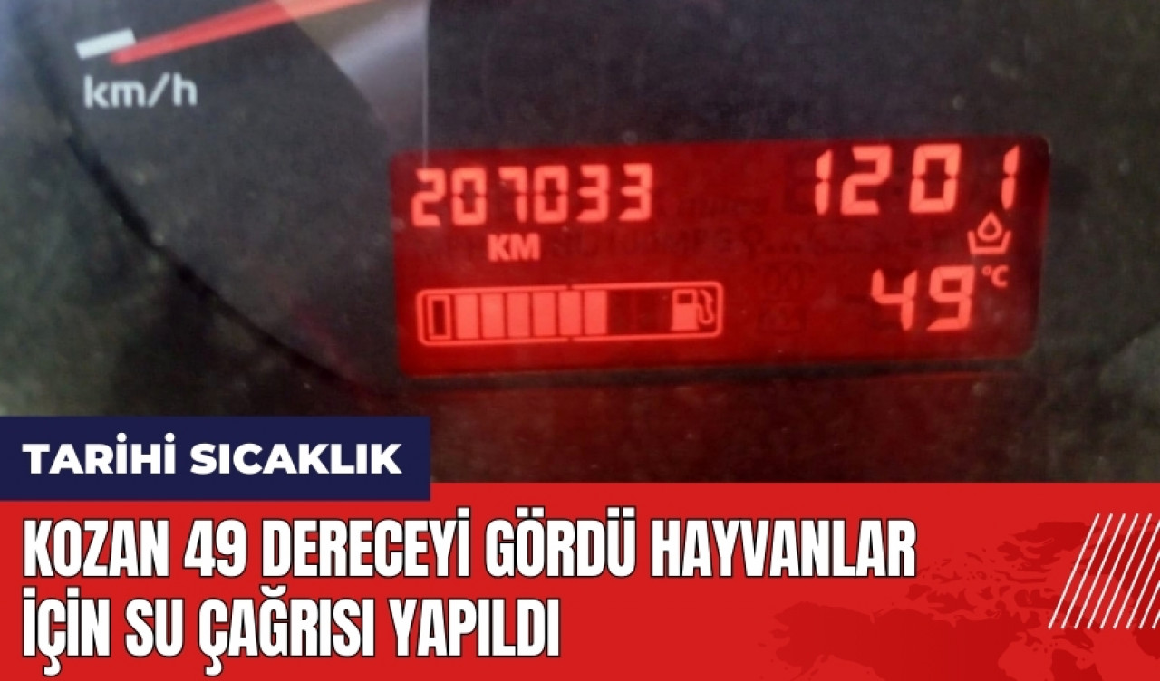 Kozan 49 dereceyi gördü! Hayvanlar için su çağrısı yapıldı