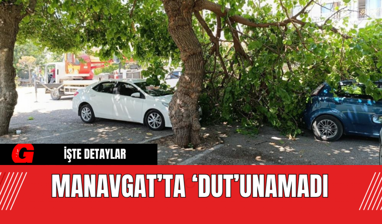 Manavgat’ta ‘Dut’unamadı