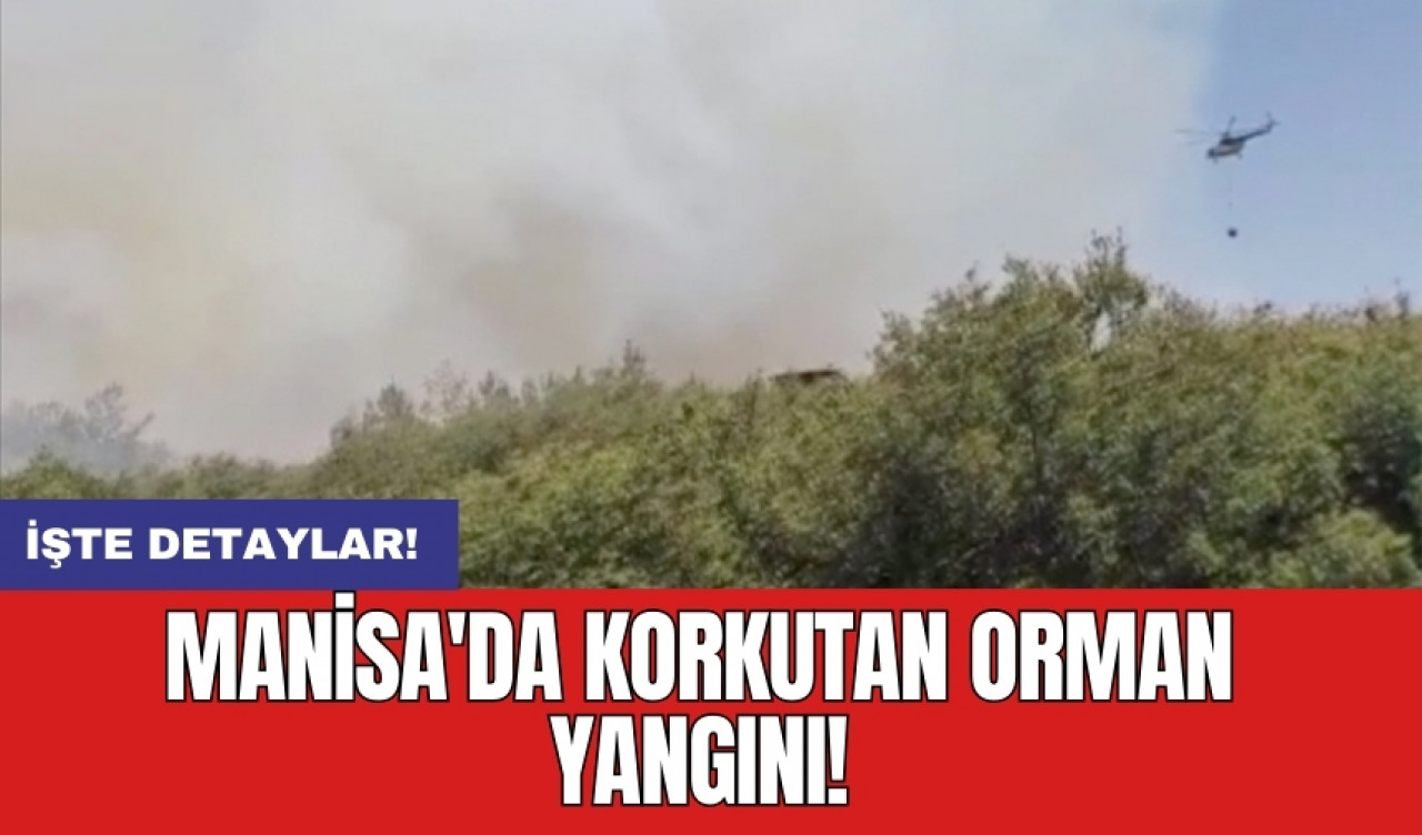 Manisa'da korkutan orman yangını!