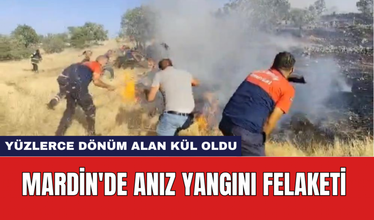 Mardin'de anız yangını felaketi: Yüzlerce dönüm alan kül oldu