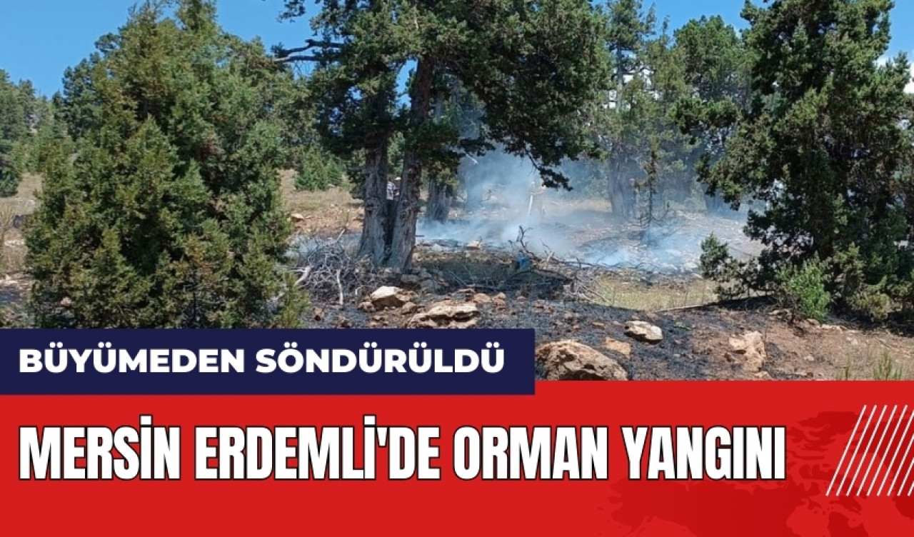 Mersin Erdemli'de orman yangını