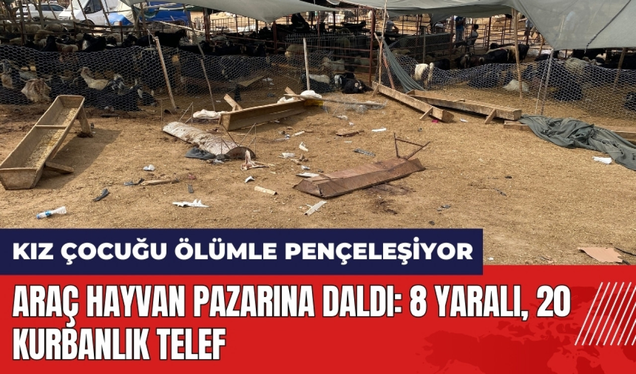 Mersin'de araç hayvan pazarına daldı! 8 yaralı, 20 kurbanlık telef