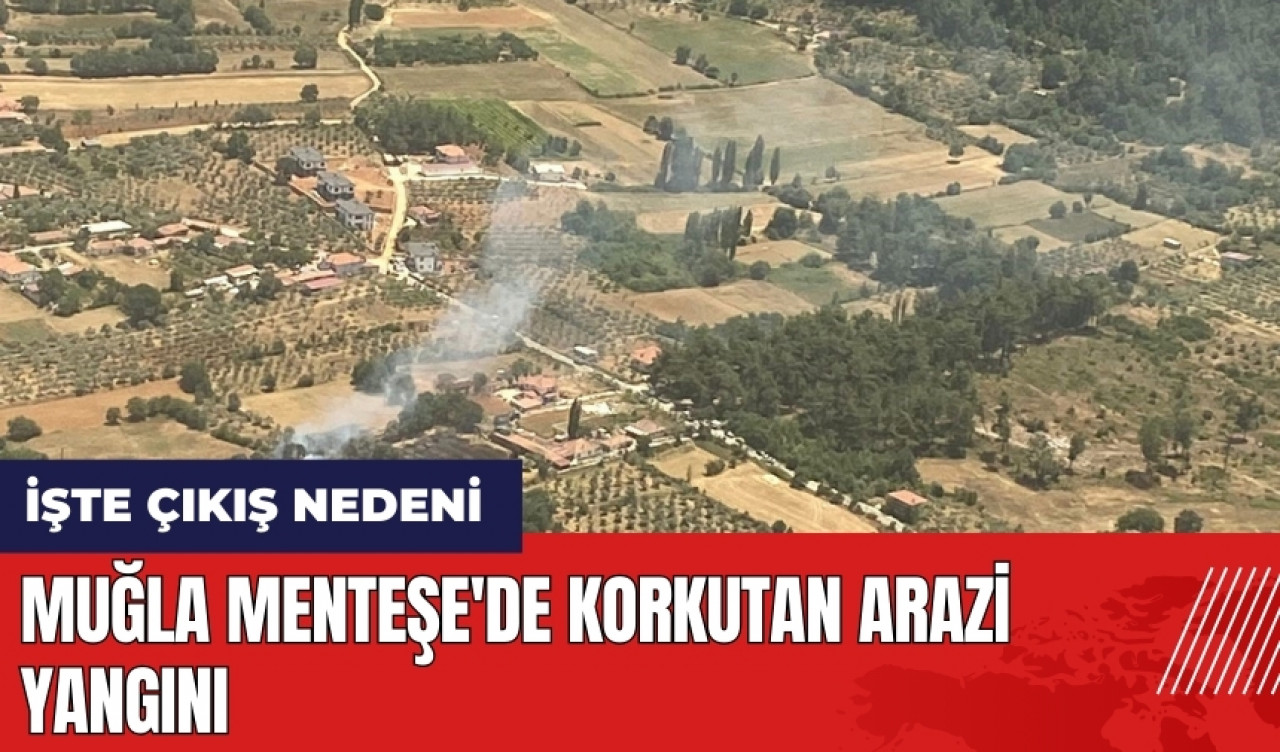 Muğla Menteşe'de korkutan arazi yangını