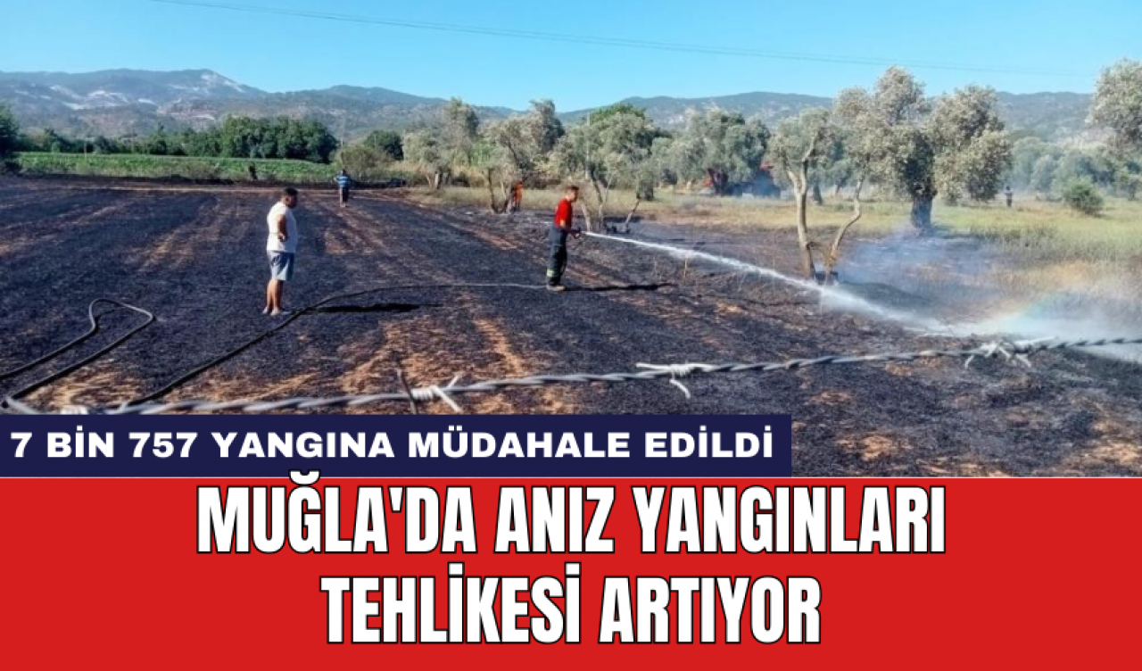 Muğla'da anız yangınları tehlikesi artıyor