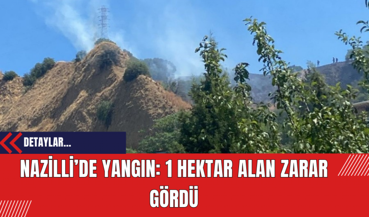 Nazilli’de Yangın: 1 Hektar Alan Zarar Gördü