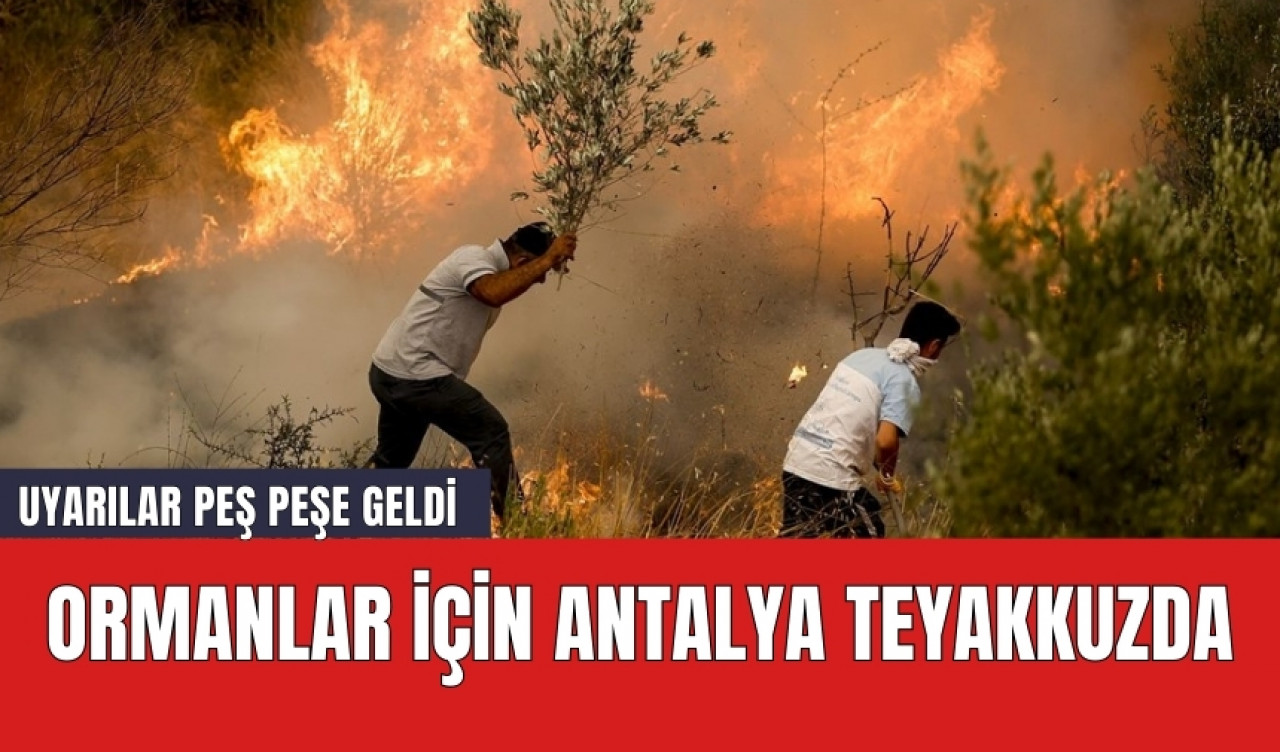 Ormanlar için Antalya teyakkuzda