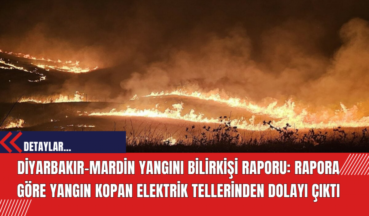 Diyarbakır-Mardin Yangını Bilirkişi Raporu: Rapora göre yangın kopan elektrik tellerinden dolayı çıktı