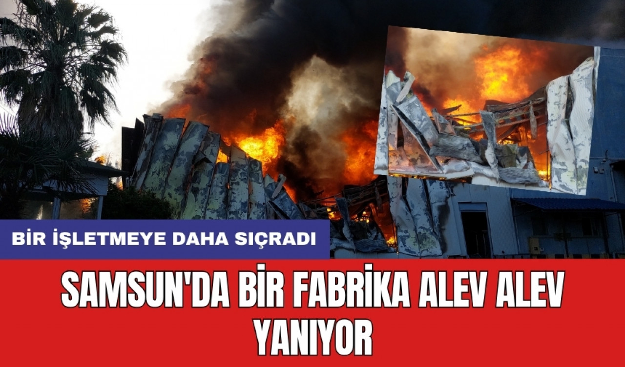 Samsun'da bir fabrika alev alev yanıyor