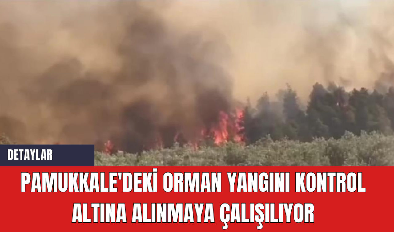 Pamukkale'deki Orman Yangını Kontrol Altına Alınmaya Çalışılıyor