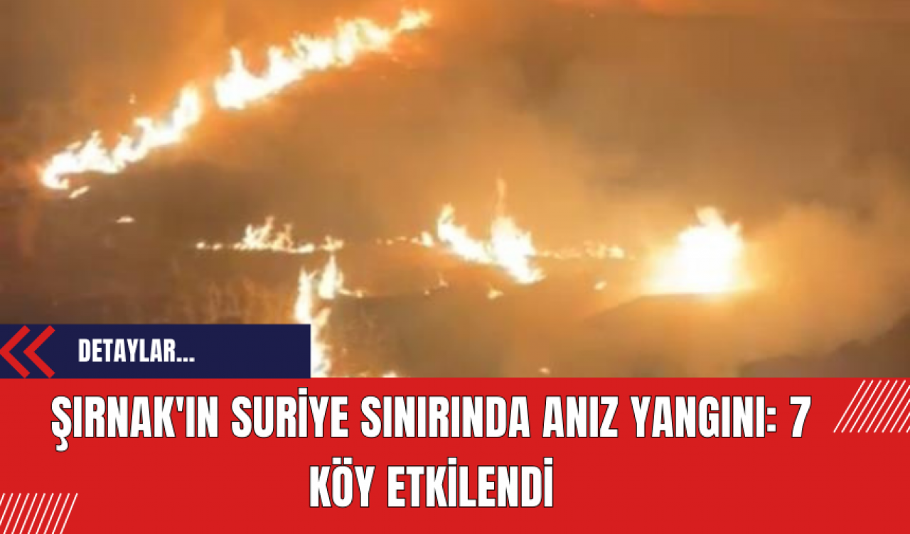 Şırnak'ın Suriye sınırında anız yangını: 7 köy etkilendi