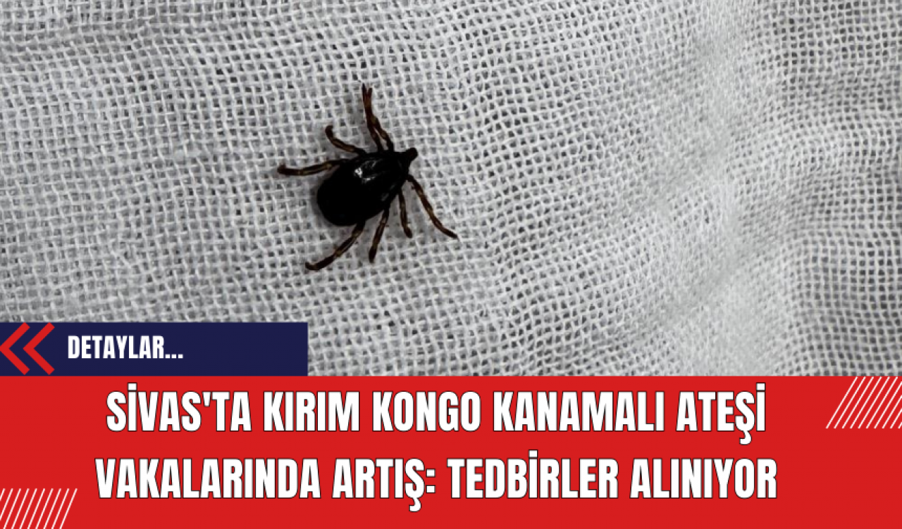 Sivas'ta Kırım Kongo Kanamalı Ateşi Vakalarında Artış: Tedbirler Alınıyor