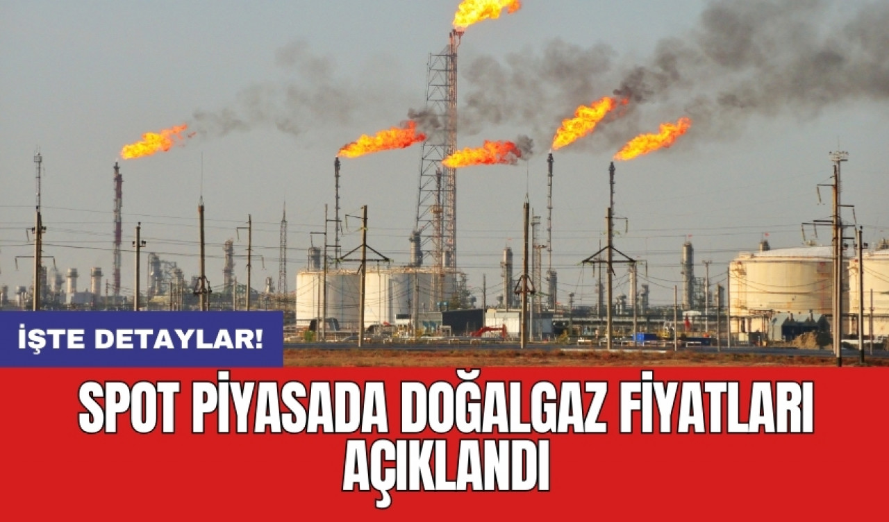 Spot piyasada doğalgaz fiyatları açıklandı