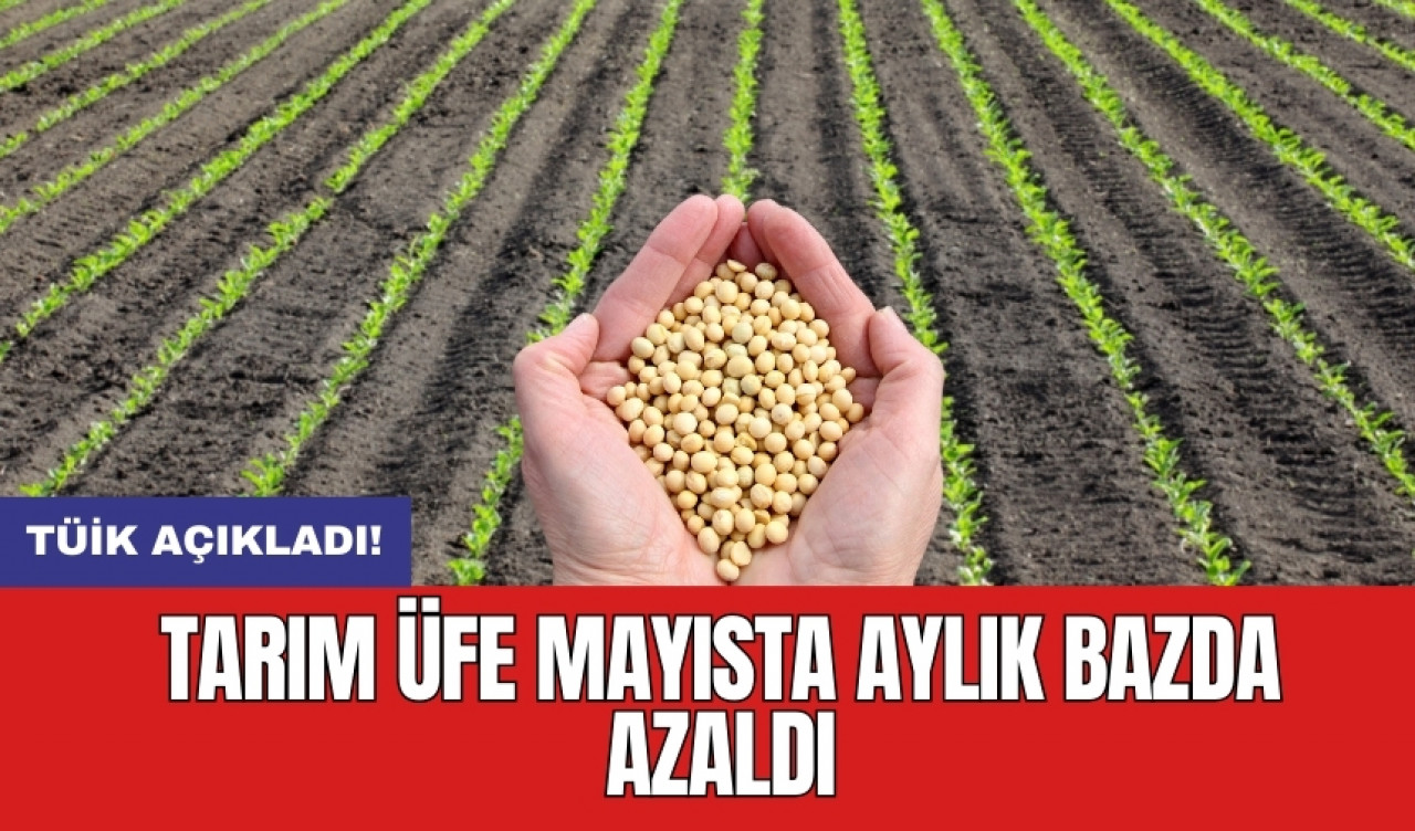 Tarım ÜFE mayısta aylık bazda azaldı