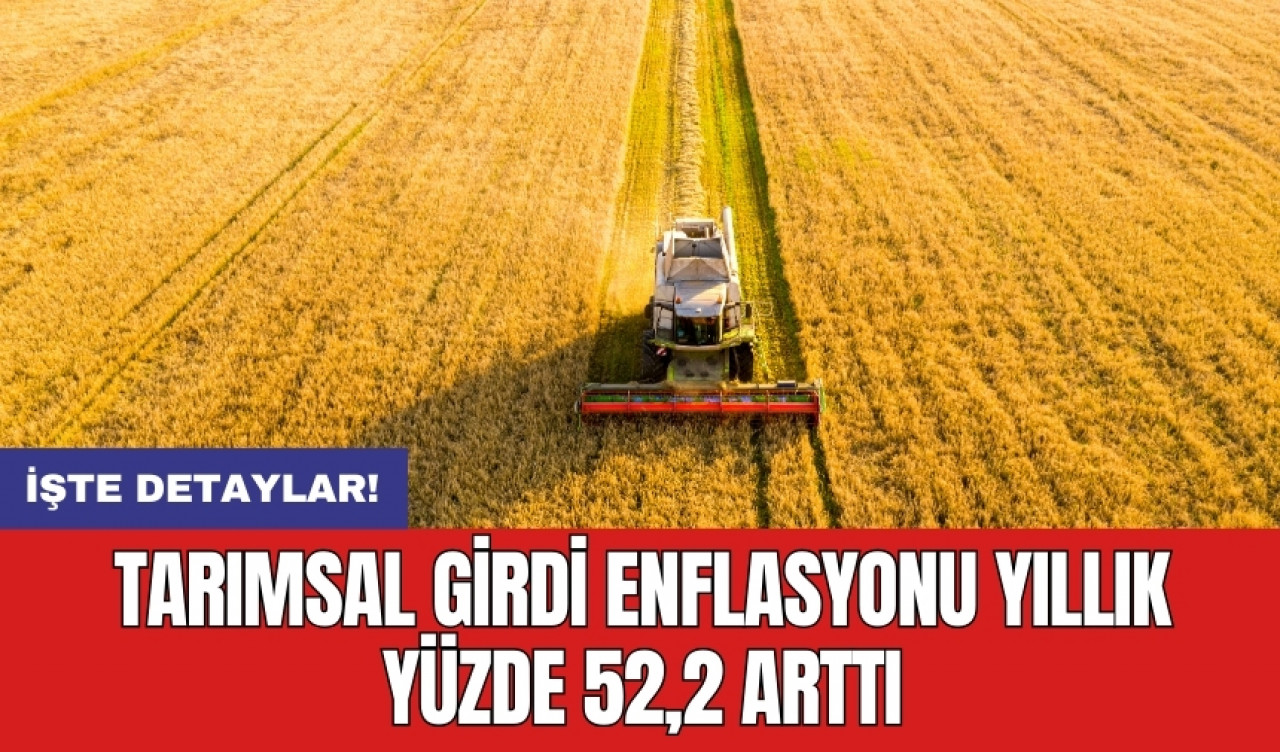 Tarımsal girdi enflasyonu yıllık yüzde 52,2 arttı