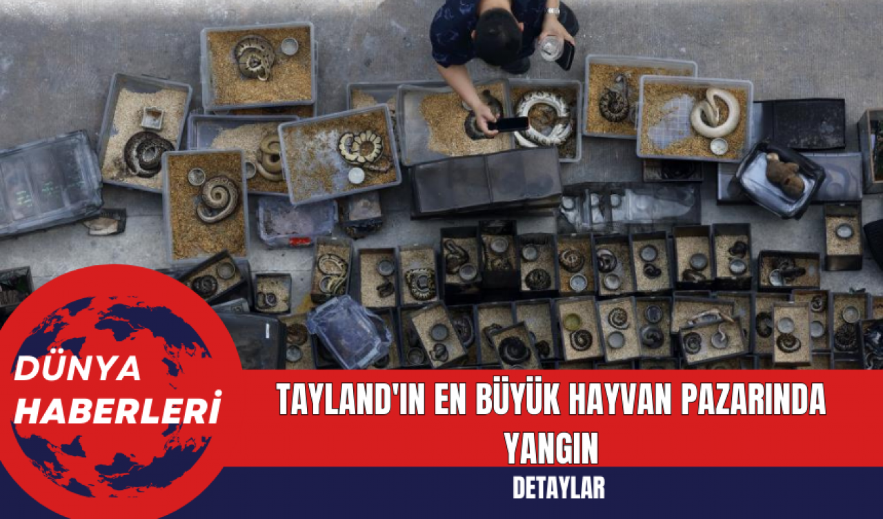 Tayland'ın En Büyük Hayvan Pazarında Yangın