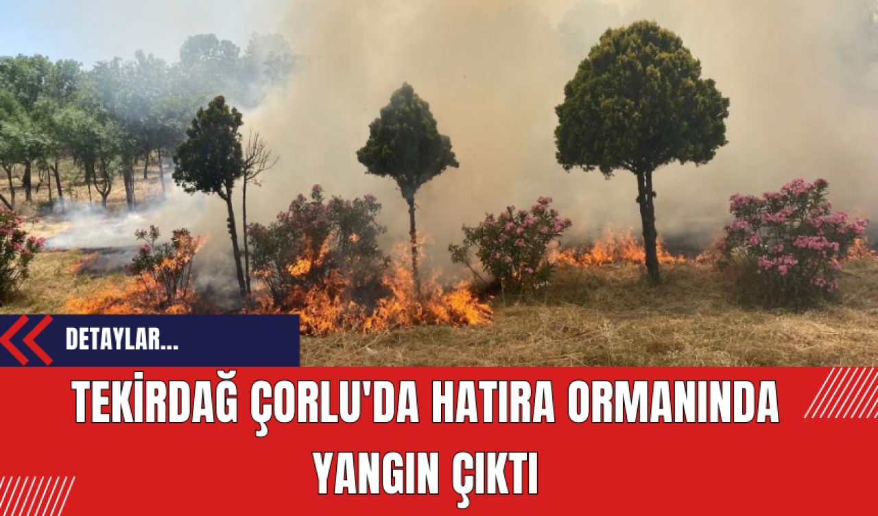 Tekirdağ Çorlu'da Hatıra Ormanında Yangın Çıktı