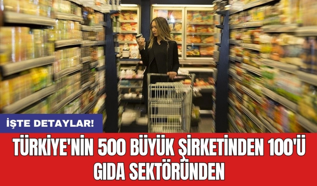 Türkiye'nin 500 büyük şirketinden 100'ü gıda sektöründen